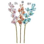 アスカシンビジューム×6つぼみ×2