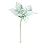 ASCAアスカポインセチアピック入...