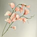 ASCAアスカスイトピーX14入数:24