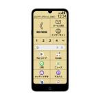 FCNT удобно смартфон Lite MR01 Gold видеть легко . легкий в использовании все. удобно смартфон (PB3S0001JP)