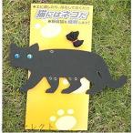コンパル 猫にはネコだ
