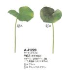 ASCA アスカ Aー41228 ゲイラックス(S#051A グリーン (72-41228-51)