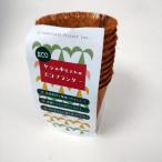 グリーンフィールドプロジェクト グリーンフィールド ヤシの木生まれのエコプランター(3号サイズ)10個入り B078