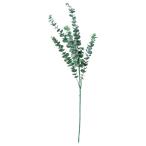 ASCA アスカ 2023新商品 A-44183 ユーカリ #063G グレイグリ-ン (72-44183-163)