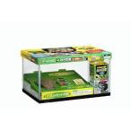 GEX(ジェックス) カメの楽園 450