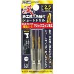 豊光 437025ST漢の鉄工ショートドリル2.5mm2P