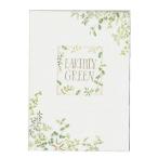 エヌビー社 EA便箋B6 グリーン 3030402