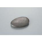 サカモト商会 1971501 ザ・鉄玉子 薄型