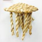 川井 バナナdeたこ足