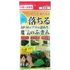 ASSY в сборе MMT10195X5