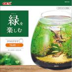 GEX(ジェックス) グラスアクアティアー