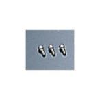 ラフアンドロードスポーツ ＲＳＶ　Ｓ２　エンドピースボルト　１本　ＲＳＶ２００４