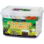 ma LUKA n Kabuto насекомое * рогач насекомое simple разведение комплект KS-13