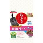 猫用ドライフード