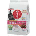 猫用ドライフード
