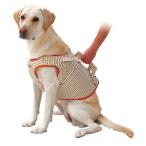 ペティオ (Petio) 老犬介護用 補助機能付ベスト 3L (大型犬)
