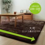 イケヒコ ラグ こたつ敷き布団 正方形 幅広ラグ ブラウン 約220×220cm