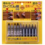 建築の友 かくれん棒ミニ5色+住まいのマニキュア5色セット AM-30 79142