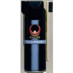  ever z очиститель цепи 420ml спрей жестяная банка Okinawa * отдаленный остров к рассылка не возможно 