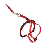 bi шероховатость arepkaru Japan iji- walk * кошка для Harness & банджи Lead M красный 5801031