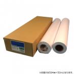 CANON キャノン オストリッチダイヤ RJPH ハイグレード普通紙 A1 (2本入)(RJPH-04)