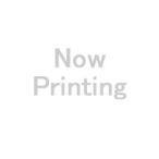 RICOHli пальто na-P 6500 (A4(ISO/IEC 19798 основа ) примерно 5000 страница печать возможность )(600704)