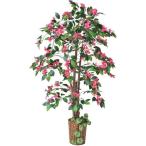 DAITOKUTRADINGCO....