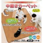 明和グラビア ホットカーペットカバーとしても使える 防水中敷きカーペット BR(木目) AHW-1003 HH 200cm×250cm 3帖用 (1075019)