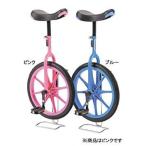 EVERNEW 一輪車（ノーパンク）14　ピンク EKD130-120 1台