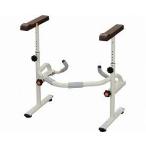 PANASONIC Panasonic европейский для туалета скользящий поручень ( нержавеющая сталь ) PN-L53001