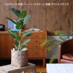 ノルディック 北欧 ペーパーバスケット 収納 ラウンド Sサイズ ALLZ1011