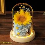 枯れない花 プリザーブドフラワー LEDライト付き 向日葵 結婚記念日 ガラスドーム付き リアル花 生花 ガラスポット 保存花 永遠の花