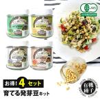 豆栽培セットオーガニックの種から育...