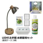 水耕栽培キット栽培キット室内栽培容...