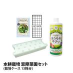 水耕栽培セット水耕栽培キット窓際菜...