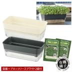 ブロッコリースプラウト栽培セット栽...