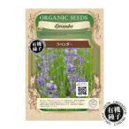  есть перевод вид иметь машина семена лаванда Эдди bru цветок еда для цветок еда .. цветок трава 