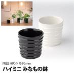  гидропонная культура pot гидропоника контейнер декоративное растение горшок высокий Mini .. было использовано горшок культивирование комплект культивирование комплект культивирование огород кухня ..