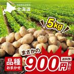2022年産 北海道産じゃがいも5KG傷あり