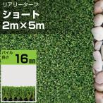 リアリーターフ 人工芝 ショート16mm 2m×5m グリーンフィールド 庭 ガーデニング 芝生 個人宅配送不可