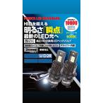 レーシングギア RG 純正HID交換用LEDヘッドライトバルブ D2R 6000K 10000lm RGH-P913 純正HIDをLED化 即納 残り2個