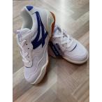 【新品未使用】アウトレット品　在庫限り　アキレス体育館シューズ　内履き　