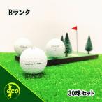 ロストボール タイトリスト PRO V1x 年代混合 30個 Bランク 中古 ゴルフボール ロスト Titleist エコボール 送料無料