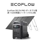 EcoFlow DELTA Pro портативный источник питания 3,600Wh+125W двусторонний солнечный панель noru4 шт. комплект 
