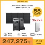 ショッピングエコ 【特別価格】ポータブル電源 ソーラーパネル セット リン酸鉄 大容量 DELTA Pro 3600Wh+400W 家庭用 バッテリー 防災グッズ エコフロー EcoFlow