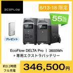 ショッピングポータブル電源 ポータブル電源 セット リン酸鉄 EcoFlow DELTA Pro 3600Wh+ 専用エクストラバッテリー 車中泊 家庭用 蓄電池 節電 防災グッズ  エコフロー