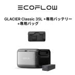 EcoFlow GLACIER Classic портативный холодильник 35L +GLACIER специальный аккумулятор + специальный сумка 3 позиций комплект 