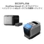 EcoFlow WAVE 3 портативный кондиционер + специальный extra аккумулятор + Glacier Classic 45L портативный холодильник +GLACIER специальный аккумулятор 