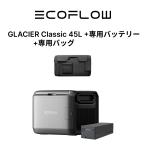 EcoFlow GLACIER Classic портативный холодильник 45L +GLACIER специальный аккумулятор 298Wh+ специальный сумка 3 позиций комплект 
