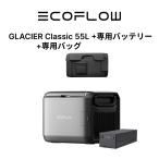 EcoFlow GLACIER Classic портативный холодильник 55L +GLACIER специальный аккумулятор 298Wh+ специальный сумка 3 позиций комплект 